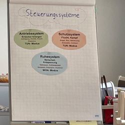 Ein Flipchart zeigt drei Steuerungssysteme: Antriebssystem, Schutzsystem und Ruhesystem mit zugehörigen Modusbezeichnungen.