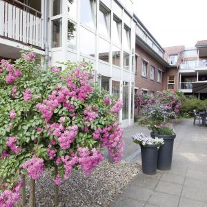 Ein blühender Garten mit lila Blumen und einem Sitzbereich schmückt das moderne Gebäude in Posen.