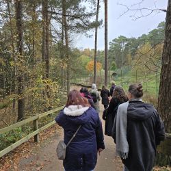 Menschen spazieren im Herbst auf einem Waldweg, umgeben von hohen Bäumen und farbenfrohem Laub.