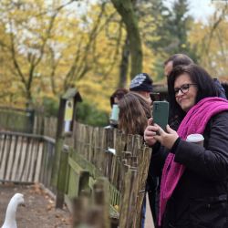 Eine Frau fotografiert eine Ente hinter einem Zaun im Zoo, umgeben von herbstlichen Bäumen und mehreren Besuchern.