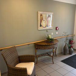 Ein gemütlicher Flur mit Korbsessel und Tisch, dekoriert mit Pflanzen und einem Birnenbild an der Wand.