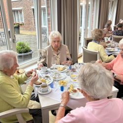 Senioren genießen ein gemeinsames Mittagessen in einem gemütlichen Speiseraum mit großen Fenstern und geselliger Atmosphäre.