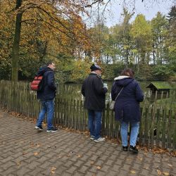 Drei Personen stehen im Herbst an einem Parkzaun und betrachten die ruhige Teichlandschaft im bunten Laub.