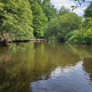 Ein ruhiger Fluss fließt unter blauem Himmel durch einen dichten Wald, während ein Kajakfahrer in der Ferne gleitet.